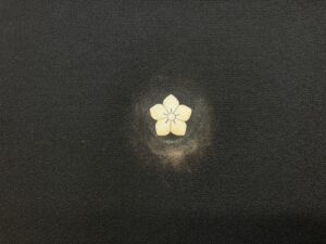 保管によるカビと脱色